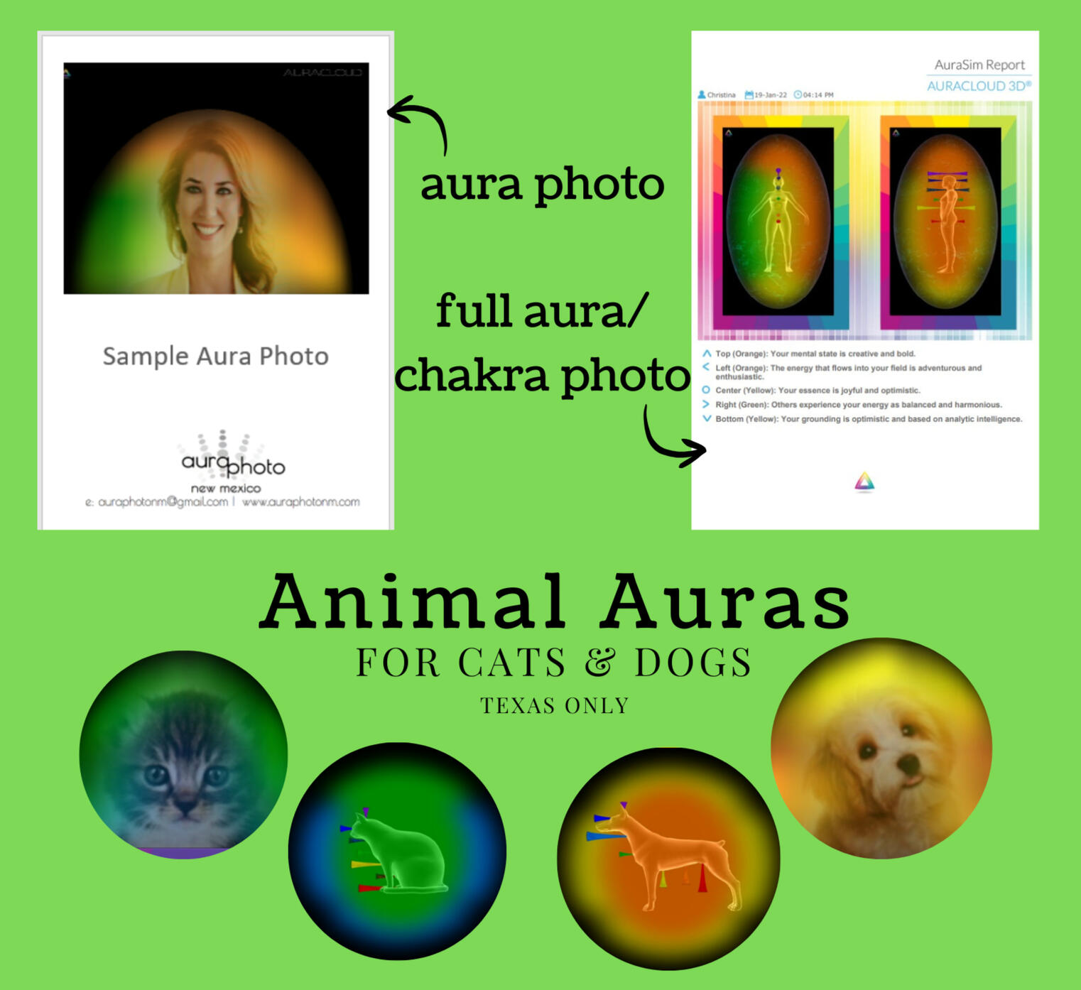 Examples of aura photos, an aura photo of a woman with a colorful aura around her, a full aura/chakra view photos, samples of animal auras with one cat and one dog.